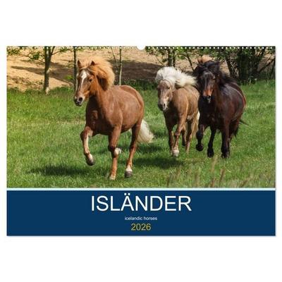 Isländer - icelandic horses (Wandkalender 2026 DIN A2 quer), CALVENDO Monatskalender