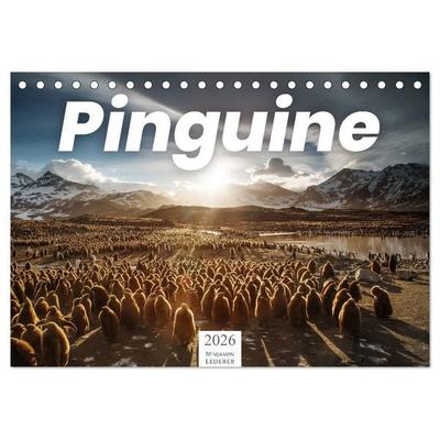 Pinguine - Die sympathischen Frack-Träger (Tischkalender 2026 DIN A5 quer), CALVENDO Monatskalender