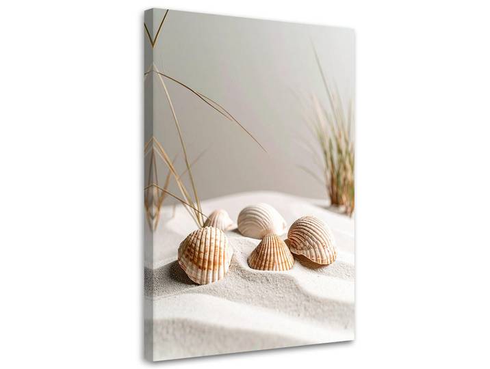 Feeby Leinwandbild Muscheln Strand Pflanzen Natur beige 70x100cm, Beige, Baum/Pflanze/Natur, Rechteckig, 70x100 cm, Bilder & Rahmen, Bilder, Leinwandbilder