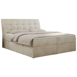 BOXBETT DIEGOS 180/200 Beige Velvet - H4