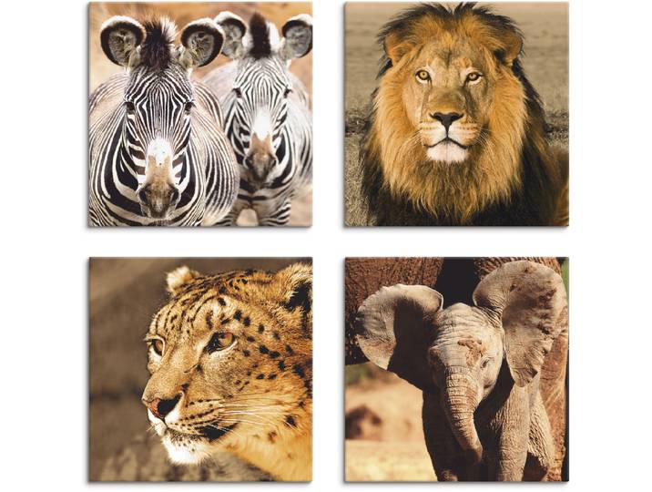 Leinwandbild ARTLAND Zebras Löwe Schneeleopard Elefanten , braun (farbe bild(er): braun), B:30cm H:30cm, Leinwand, MDF, Bilder, Leinwandbild, 4er Set, verschiedene Grössen