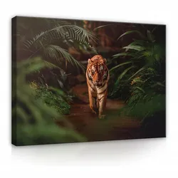 LEINWAND BILDER Tiger Tiere 120x80