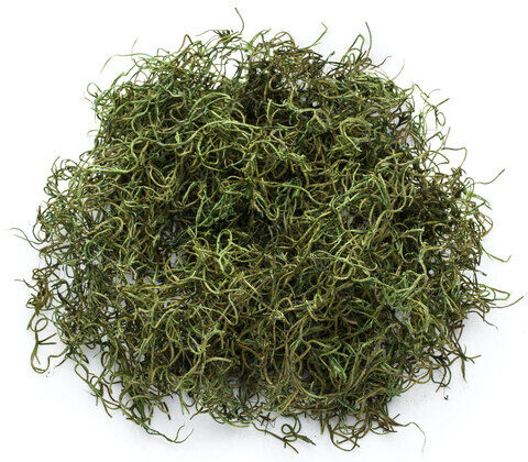 Dschungelgras, grün, 50 g