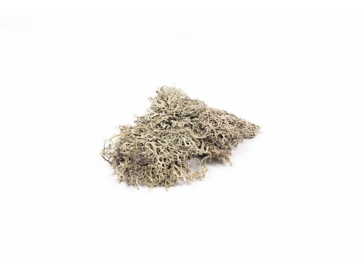 Graumoos 50g