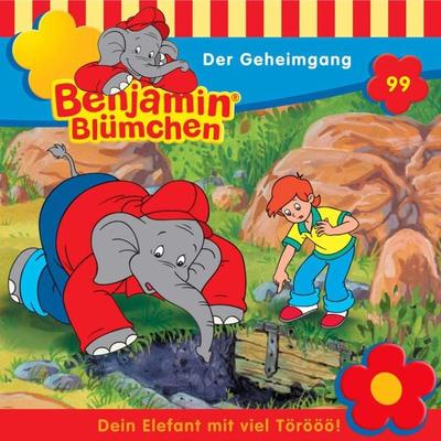 Der Geheimgang - Klaus-P. Weigand,Maren Hergesheimer, Audio, 4033694265994