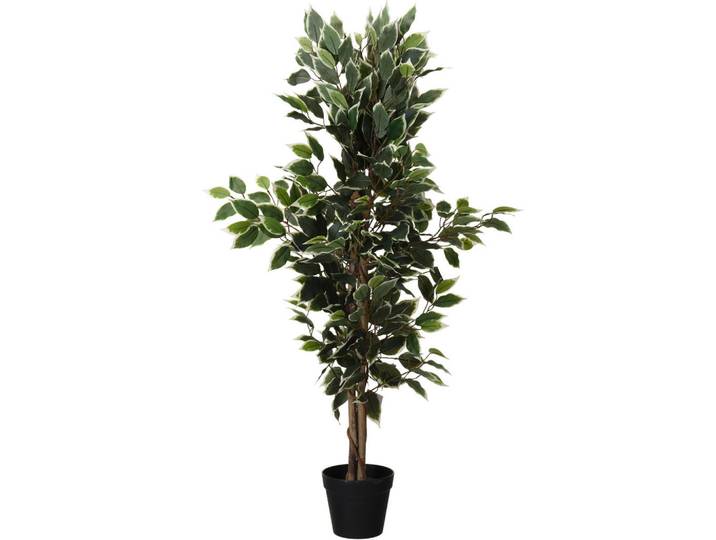 Home Styling Collection Ficus-Baum im schwarzen Topf 38/20,5/115 cm, Grün, Kunststoff, 115 cm, Dekoration, Blumen & Blumentöpfe, Kunstblumen
