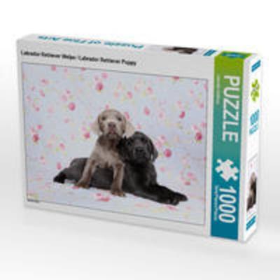 CALVENDO Puzzle Labrador Retriever Welpe / Labrador Retriever Puppy 1000 Teile Lege-Größe 64 x 48 cm Foto-Puzzle Bild von Jeanette Hutfluss