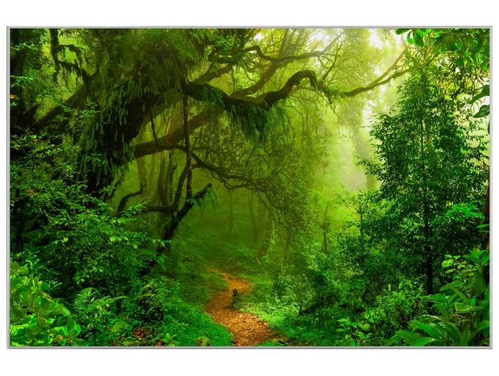 Bild mit Rahmen Woodland image LAND