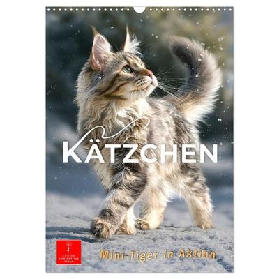 Kätzchen - Mini-Tiger in Aktion (Wandkalender 2027 DIN A3 hoch), CALVENDO Monatskalender