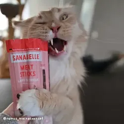 Bosch Sanabelle Meat Sticks Lachs & Forelle 35g