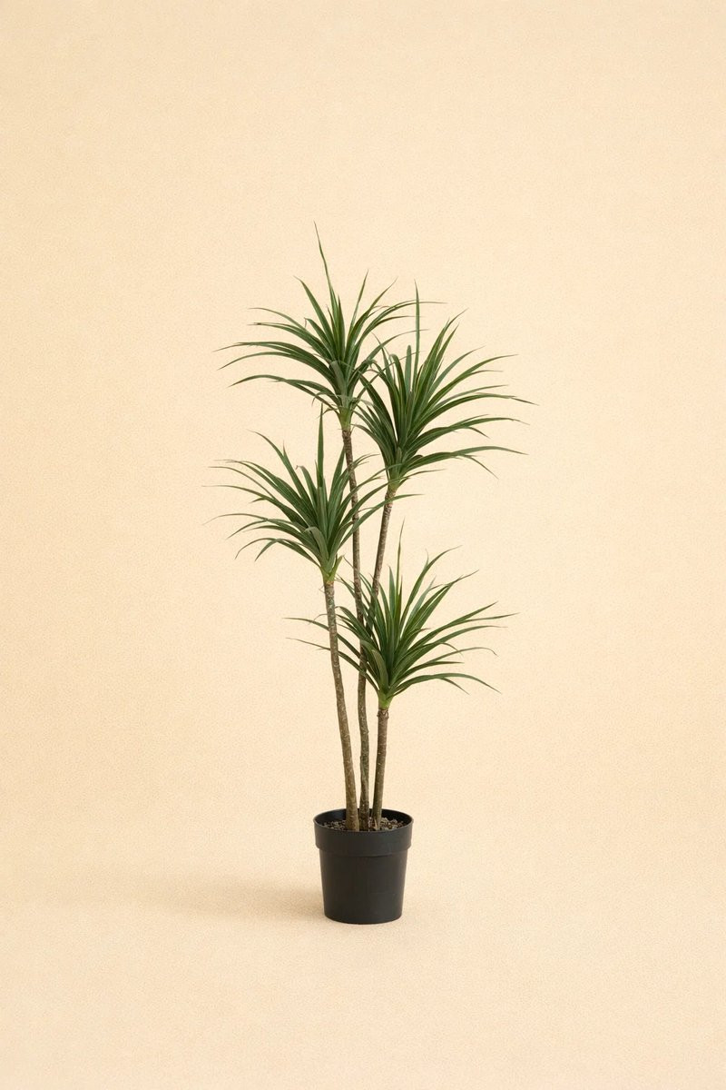 Onlineplantenkopen Kunstplant Dracaena - Onderhoudsvrije groene kunstplant voor binnen - Hoogte: 165 cm