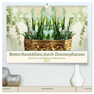 Bestes Raumklima durch Zimmerpflanzen (hochwertiger Premium Wandkalender 2027 DIN A2 quer), Kunstdruck in Hochglanz