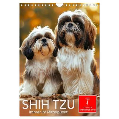 Shih Tzu - immer im Mittelpunkt (Wandkalender 2027 DIN A4 hoch), CALVENDO Monatskalender