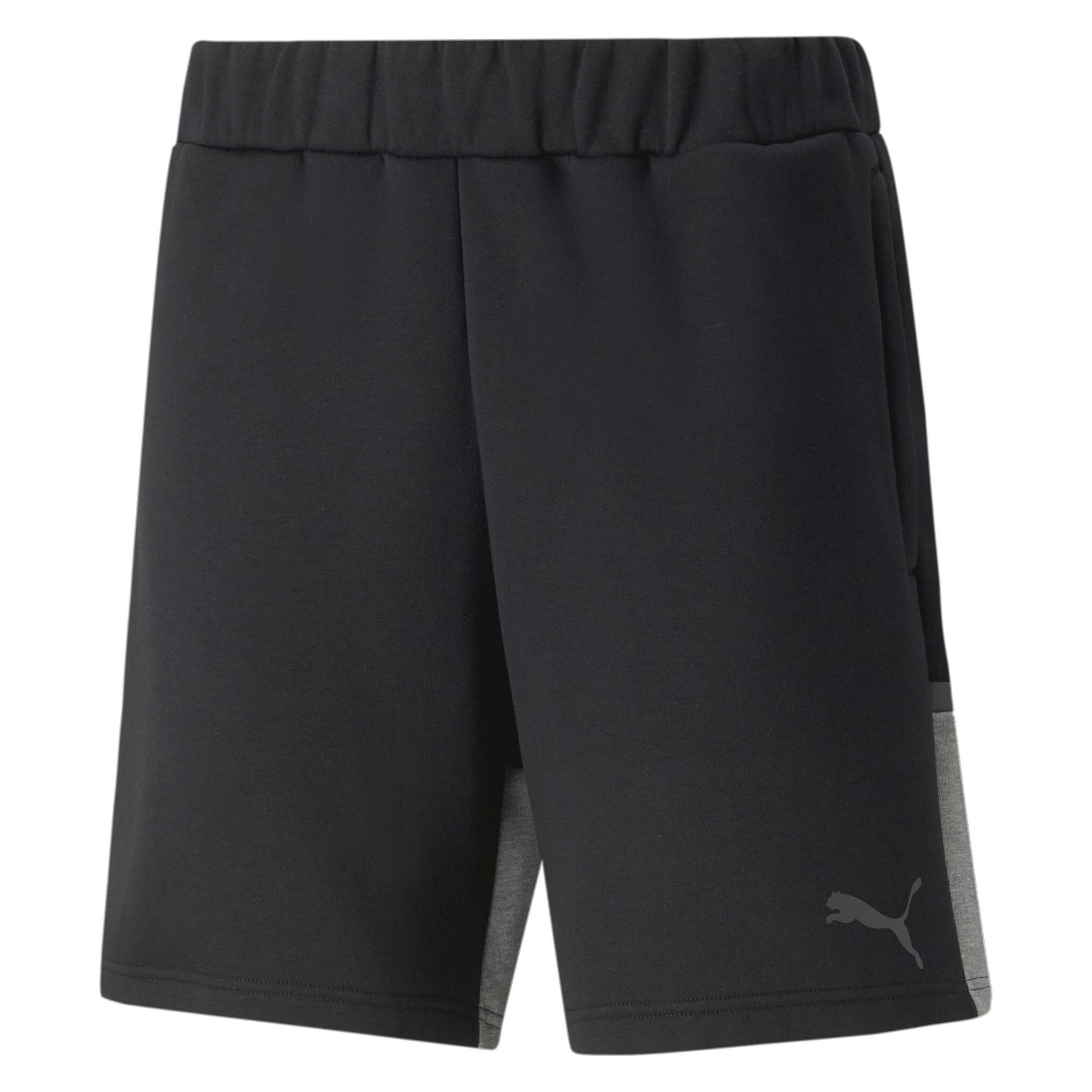Puma teamCUP Casuals Shorts (3XL) (657989_03)