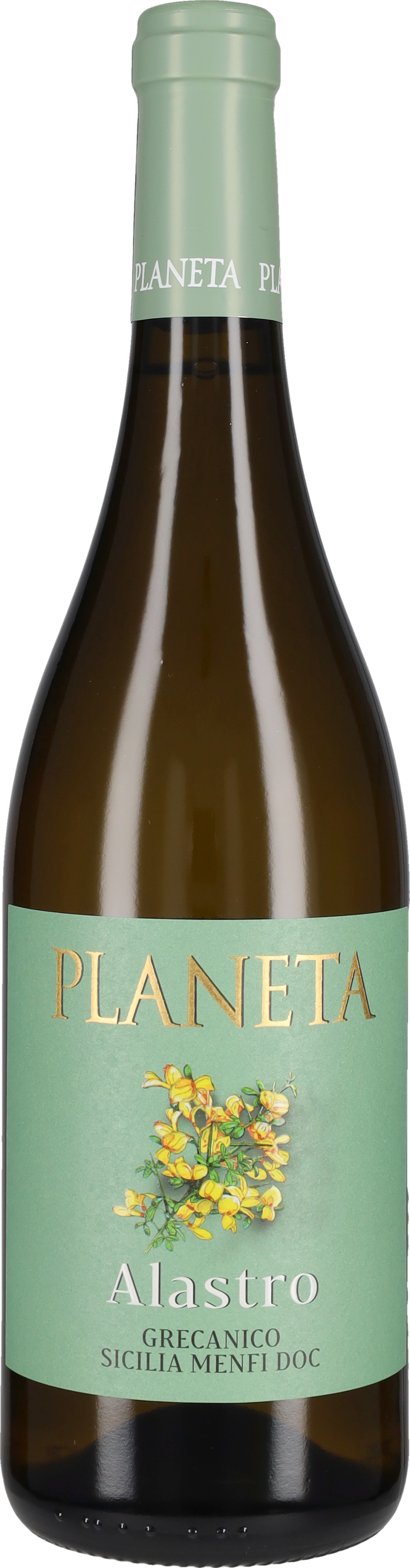 Alastro Planeta 2025