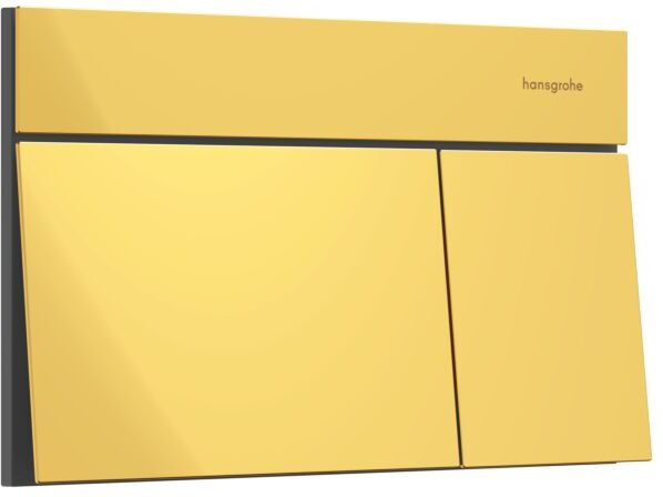 Hansgrohe iFrame Element E Betätigungsplatte 66003990 für 2-Mengen-Spülung, Metall, polished gold optic