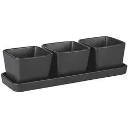 Wenko Snack & Dip Schalen Set, 30x10x8 cm