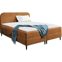 BOXBETT Box Best 1 - H3