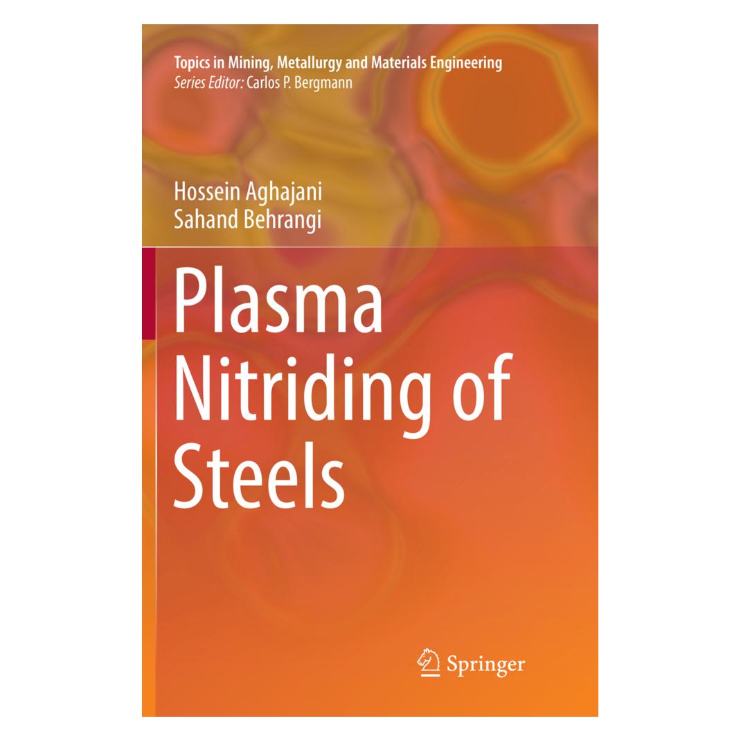 Springer Plasma Nitriding of Steels (Englisch, Softcover, Hossein Aghajani, Sahand Behrangi) (35127798)