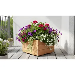 Pflanzkübel Heide II 60 x 40 x 40 cm- Blumenkasten aus Sibirischer Lärche - Holzkübel für Blumen und Pflanzen - Pflanzkübel für den Garten