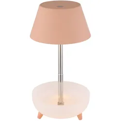 LED Akku Tischleuchte Touchdimmer Tischlampe Höhenverstellbar Teleskoparm Nachttischlampe pfirsich Touch, USB, 1W 100Lm warmweiß, DxH 11,8x22,5 cm