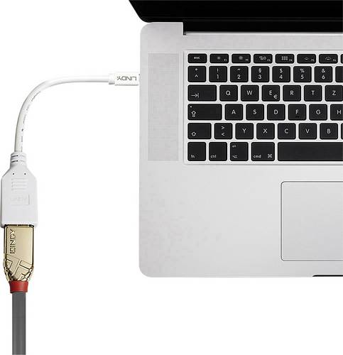 LINDY 41021 DisplayPort / Mini-DisplayPort Adapterkabel [1x DisplayPort Buchse - 1x Mini-DisplayPort Stecker] Weiß 15.00 cm