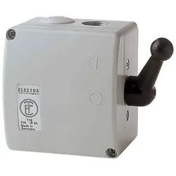 Elektra Tailfingen Guss-Wendesch. 25A TWG16 46439, Schalter + Taster