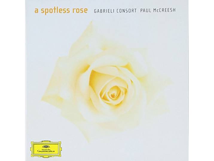 A Spotless Rose