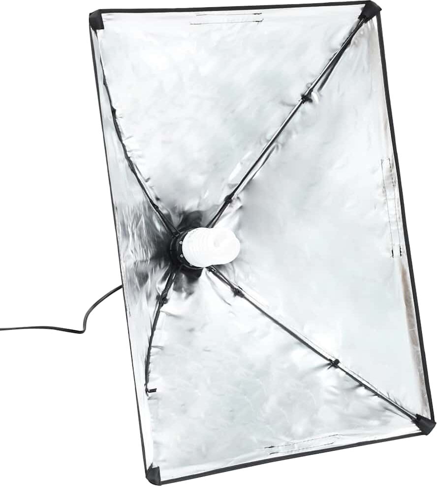vidaXL Lampes de studio professionnelles 2 pcs 40x60 cm Acier Noir