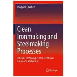 Clean Ironmaking and Steelmaking Processes, Fachbücher von Pasquale Cavaliere