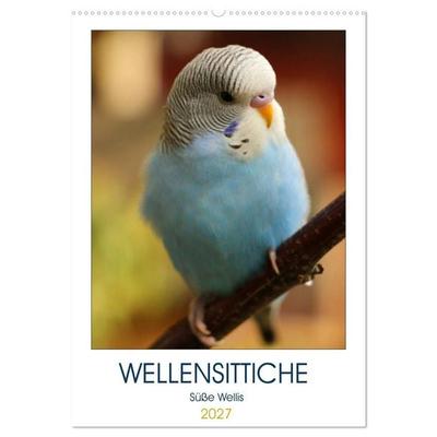 WELLENSITTICHE - Süße Wellis (Wandkalender 2027 DIN A2 hoch), CALVENDO Monatskalender