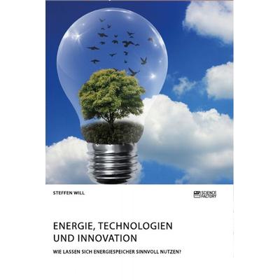 Energie, Technologien und Innovation. Wie lassen sich Energiespeicher sinnvoll nutzen?, Taschenbuch von Steffen Will, Science Factory,