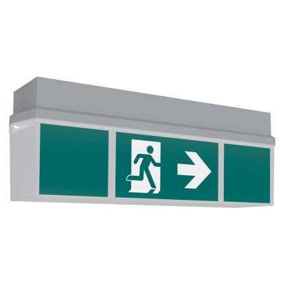 RP Technik KWIDK413SC RZ-Leuchte Decke,EB+SC/3h,ink (KWIDK413SC)