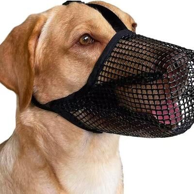 Modern Home Fixes Breathable Adjustable Dog Muzzle Anti Bark Mesh Mouth Cover For Safer Walks gray m
