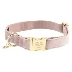 Kentucky Dogwear Hundehalsband Kentucky Velvet (S, Hund, Allgemein), Halsband + Leine