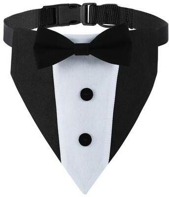 Uplifted Finds Sucado Distinguished Gentleman Wedding Bandana & Collar b l