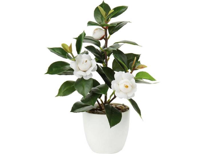 Kunstpflanze Kamelie Weiß 28 cm, Kunststoff, 27.9 cm, Dekoration, Blumen & Blumentöpfe, Kunstpflanzen