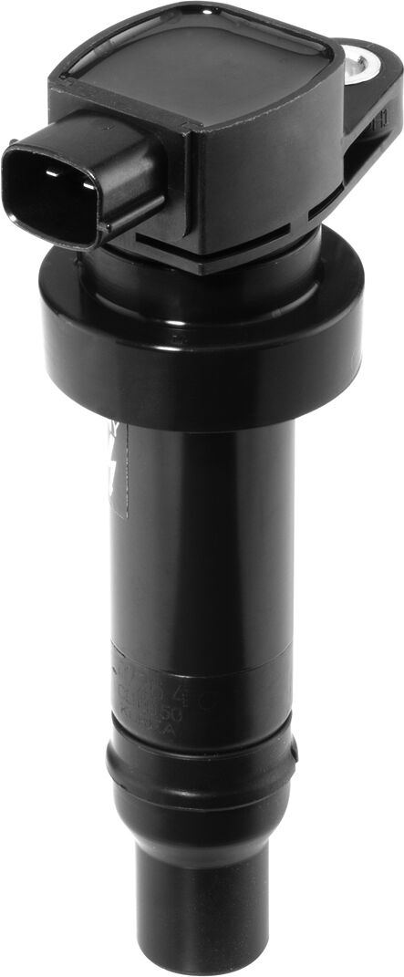 Borgwarner (Beru) Zündspule Zs475 Für Kia Standard Automobile