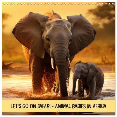 Let's go on Safari - Animal babies in Africa (Wall Calendar 2027 12 × 12 Inch) CALVENDO 12 Month Wall Calendar