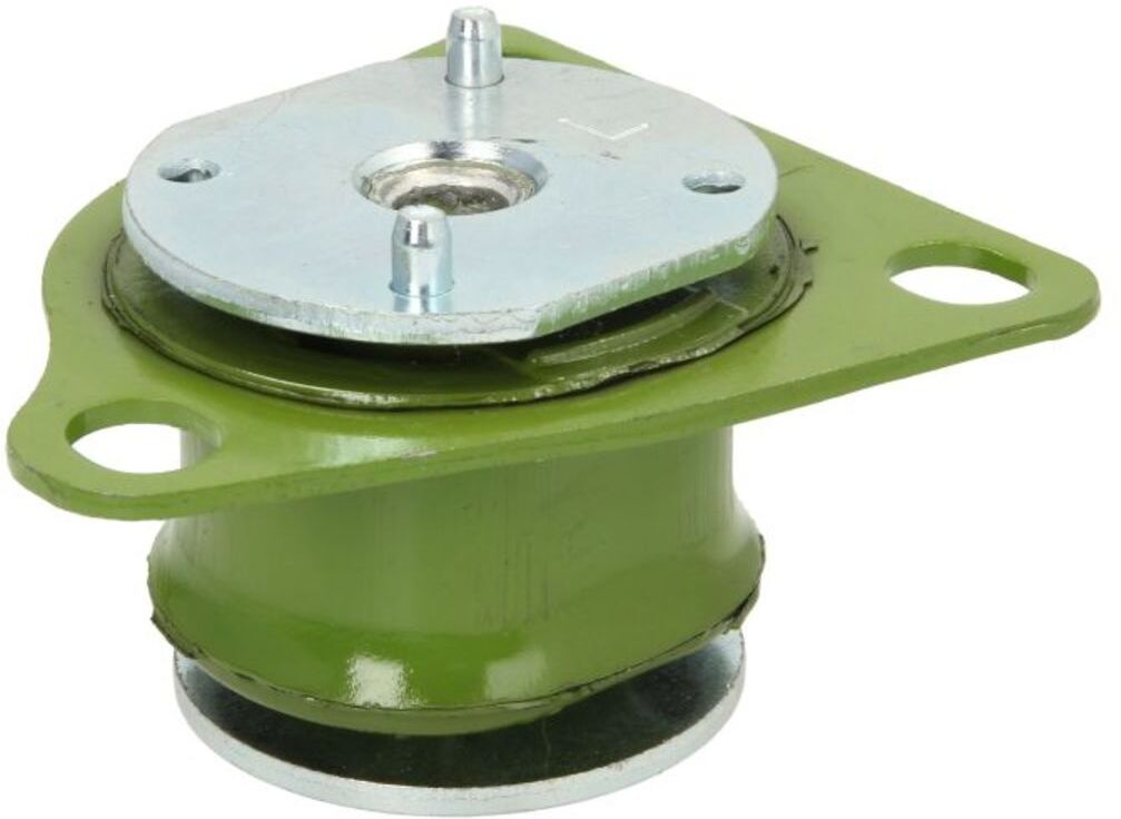 Lagerung, Getriebe REINHOCH RH12-0001, Hinten, Links