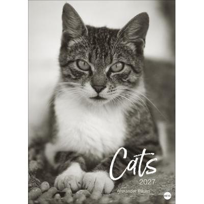 Cats Edition Kalender 2027