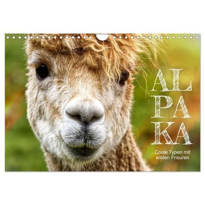 Alpaka, coole Typen mit wilden Frisuren (Wandkalender 2027 DIN A4 quer), CALVENDO Monatskalender
