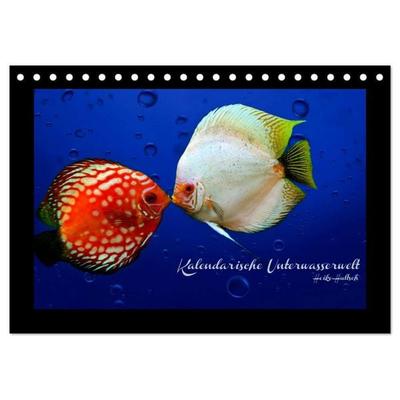 Kalendarische Unterwasserwelt (Tischkalender 2026 DIN A5 quer), CALVENDO Monatskalender