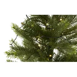 LED Lichterkette   ¦ schwarz