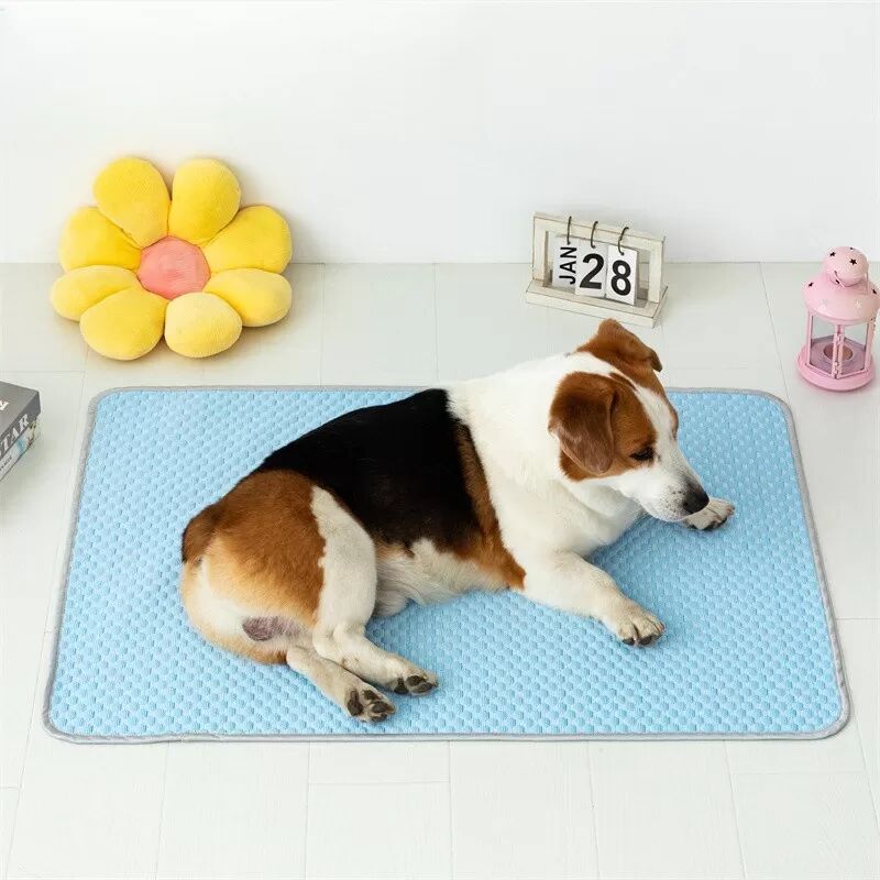 INF Kühlmatte für Haustiere Blaue Bean Ice Pad für Hunde & Katzen XXL
