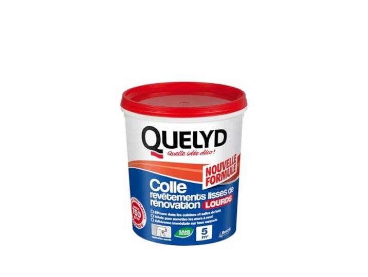 Quelyd Colle Revêtements lisses de Rénovation Lourds - Pot de 1 kg Pâte