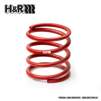 H&R ZF030-36-005