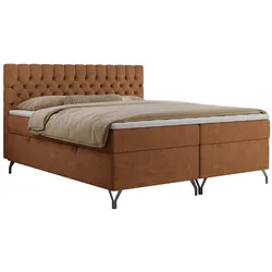 BOXBETT GRIMALDI 140/200 Orange Struktur - H4