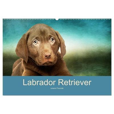 Labrador Retriever unsere Freunde (Wandkalender 2027 DIN A2 quer), CALVENDO Monatskalender