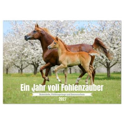 Ein Jahr voll Fohlenzauber (Wandkalender 2027 DIN A2 quer), CALVENDO Monatskalender
